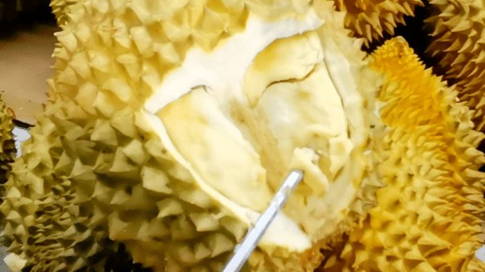 水果店老板卖榴莲时,就靠这几种方法进货,一挑一个准,很少赔钱
