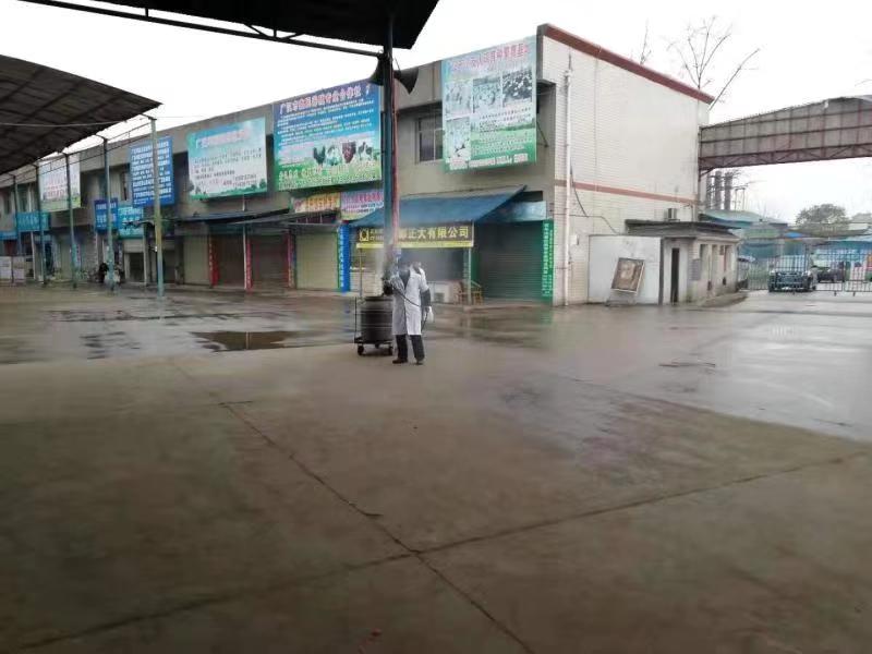 附近鸭苗批发市场（附近有鸭苗出售吗）