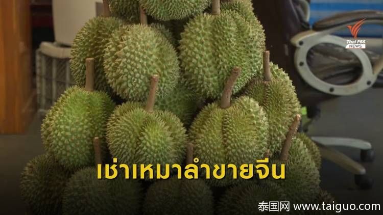泰国榴莲进货渠道（我们吃的榴莲都是从泰国进口的吗）
