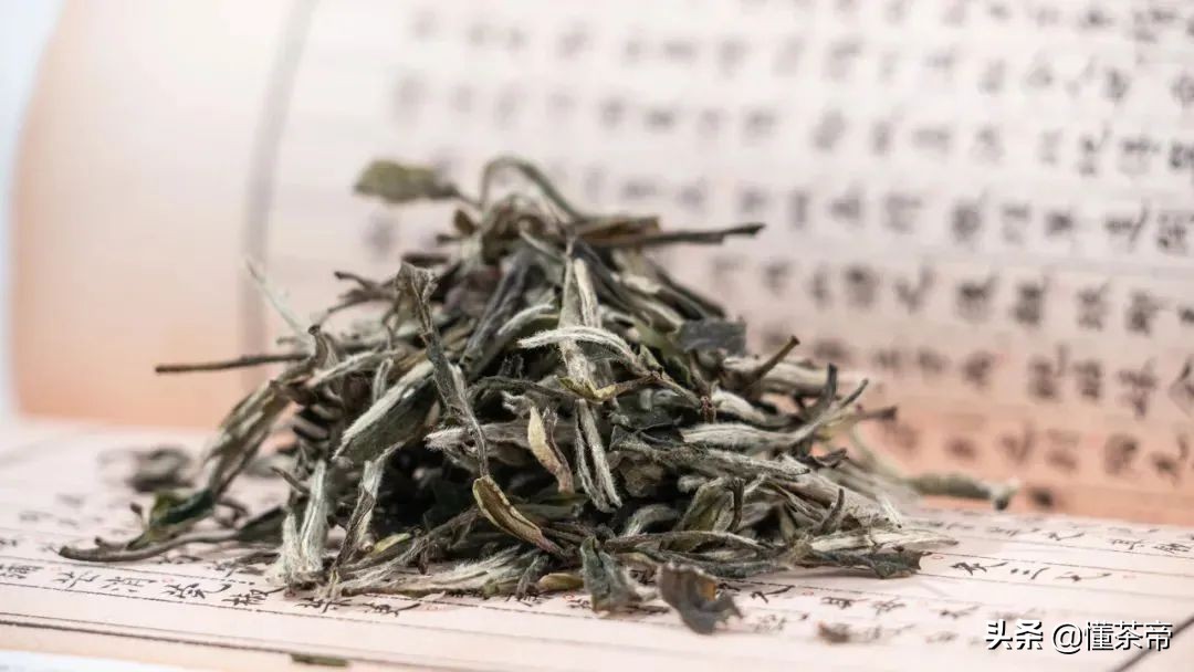 六大茶类代表名茶有哪些?喝过三款以上才称得上大神