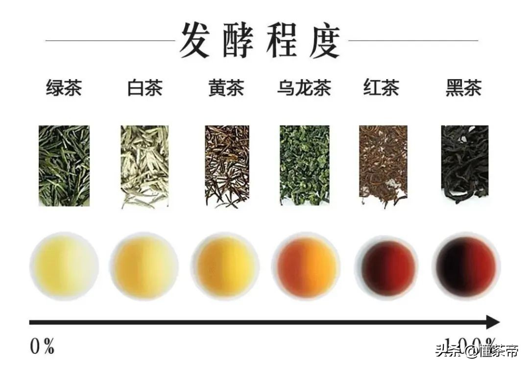 中国名茶有哪些？中国有哪些有名的茶品种？