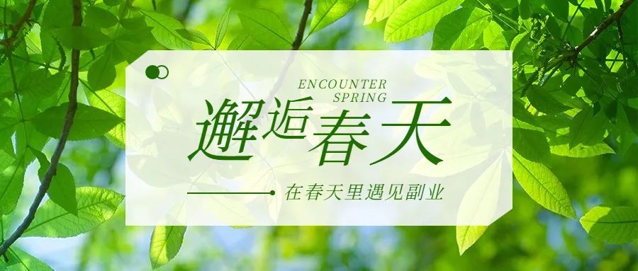 副业赚钱的路子有哪些？30个靠谱副业项目！