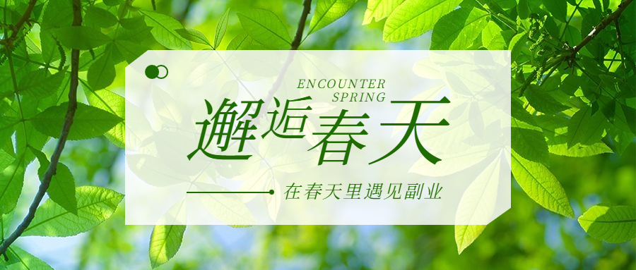 推荐!30个靠谱副业项目,再送3个适合读书人的变现路径