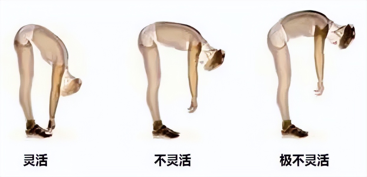 最简单的长寿动作（有助于长寿的简单动作）