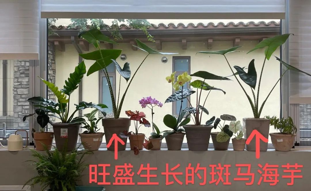 生意难做,如何抓住赚钱机会?