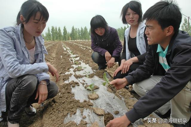 2018农村最缺什么市场（农村缺少什么市场）