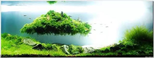 鱼缸计算器在线使用（鱼缸计算器 南美）