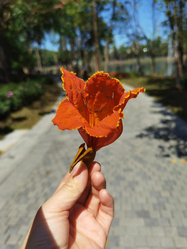 天照天批发市场新地址（天照天皇）