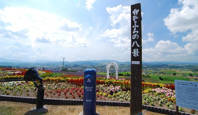 北海道花季 百度网盘（北海道花季许嵩）