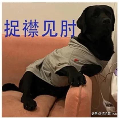 柒染是什么意思怎么读（柒柒染染什么意思）