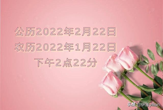 一帘幽梦演员表（一帘幽梦之复仇）
