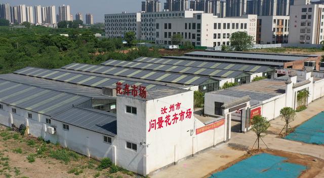 附近花卉市场批发在哪里（北京花卉市场批发在哪里）