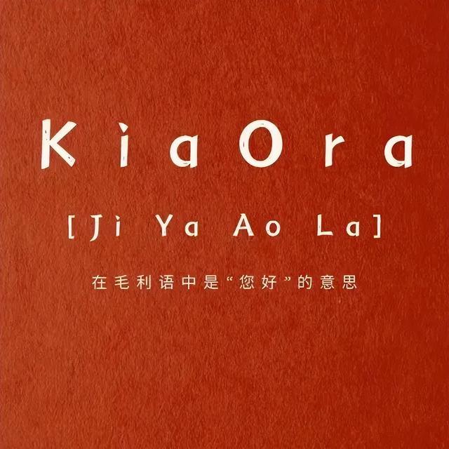 两棵松树是什么品牌电池（两棵松树是什么品牌衣服中文怎么读）