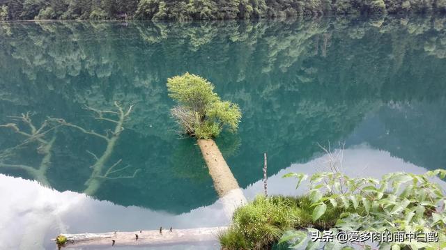 六月份去九寨沟穿什么衣服合适（六月份去九寨沟穿什么衣服比较合适）