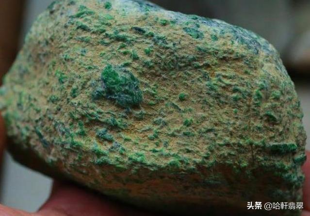 什么是开边珠牛皮（开边珠牛皮是牛皮吗）