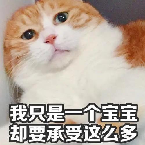 一个男生喜欢白色是什么样的人（男性喜欢白色衣服的性格是怎样的）
