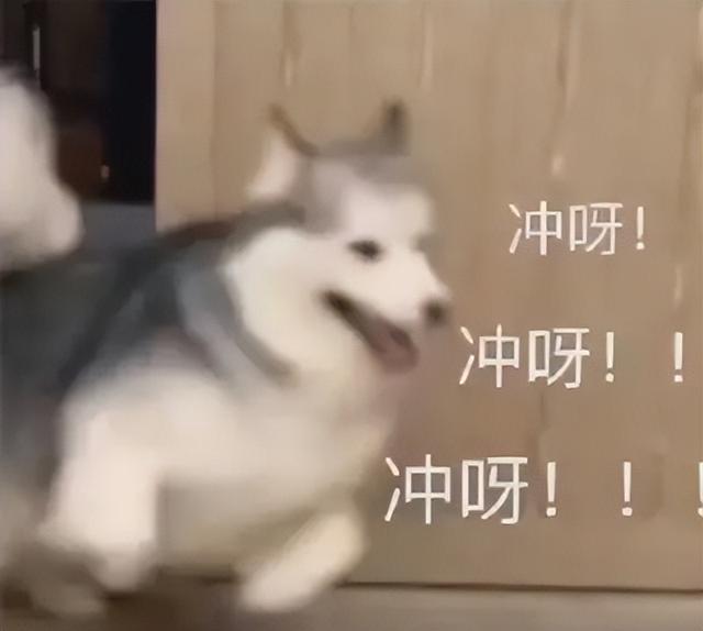 以纯服饰有限公司招聘（以纯服饰有限公司老板是谁）