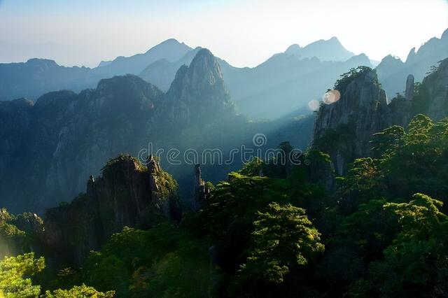 力鼎茶可以修复海绵体吗（力鼎茶可以修复海绵体吗_对身体有没有危害_）