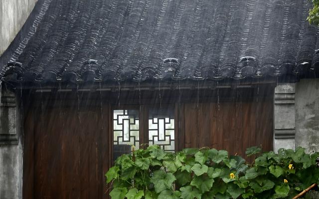 声雨竹官方旗舰店天猫（声雨竹官方旗舰店女装）