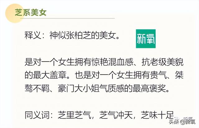 婵芝内衣（婵姿翼内衣）