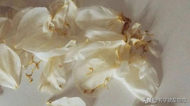穿丁字裤的女生，一定不检点？