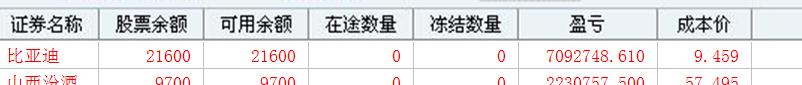 雷比亚汉化9dm（雷比亚洞洞鞋）