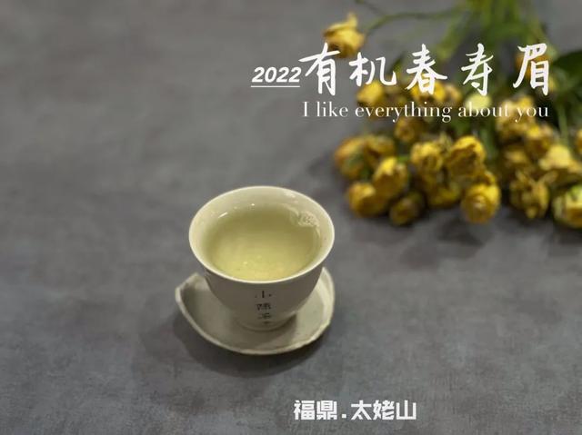 白茶女装品牌怎么样（白茶属于高档茶吗）