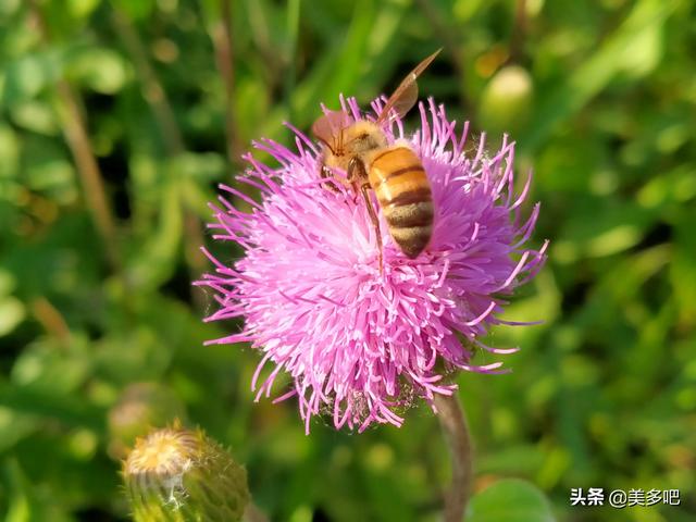 春美多品牌折扣店加盟（春美多女装）