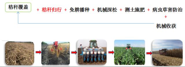 全量全速公司官网（全速 公司）