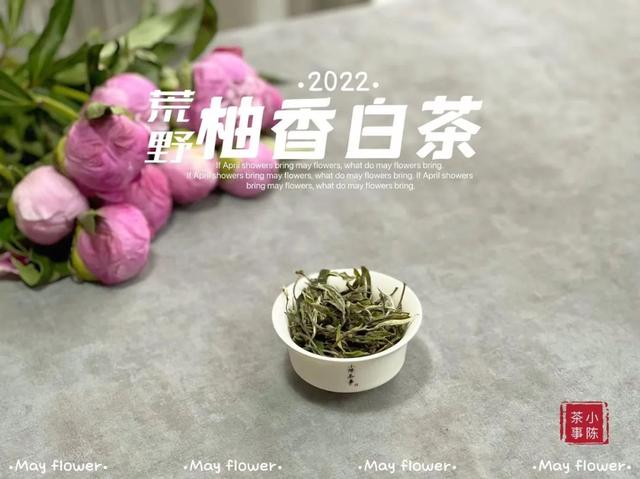 白茶算什么档次（白茶女装属于几线品牌）