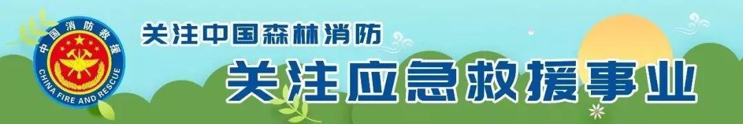 多彩汇女包多少钱一个帆布包（多彩汇女包怎么样）