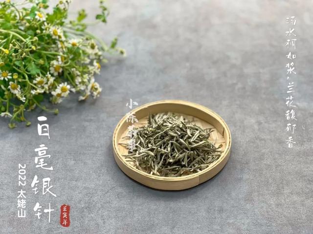 白茶女装属于哪个档次高（白茶是什么档次）