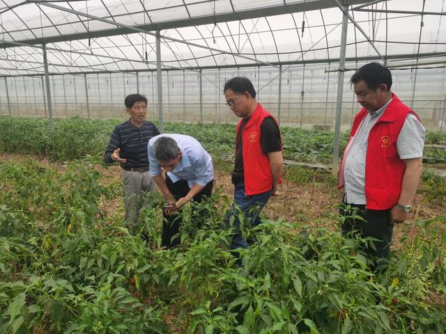 唐森网络有限公司（唐森海）