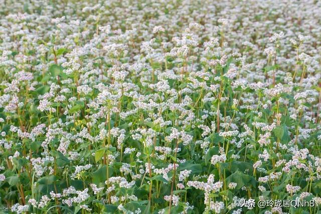 十八淑女坊属于什么档次（淑女坊和十八淑女坊）