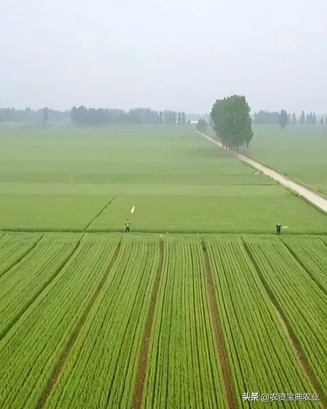 昆仑代理注册，昆仑有限公司？
