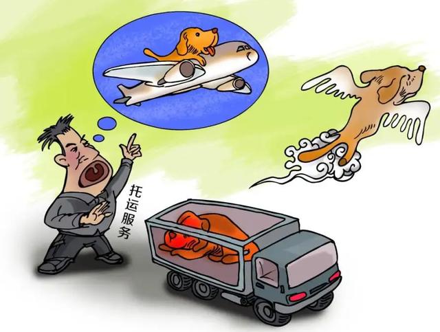 南京国际宠物托运，南京宠乐游宠物托运？