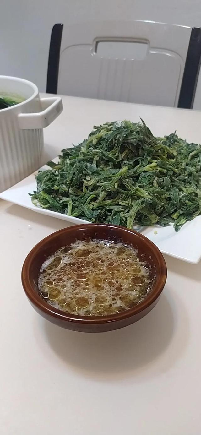 面条菜学名叫什么，面条菜的功效与作用及禁忌？