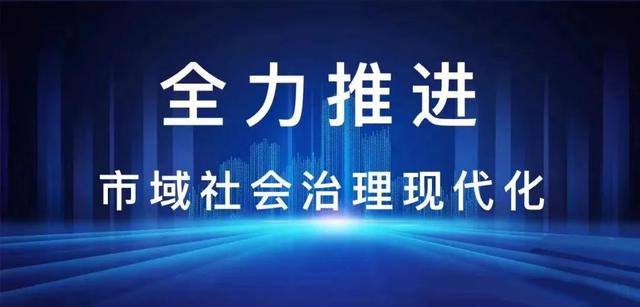 市域社会治理 _市域社会治理的检察实践之织密未成年人保护网