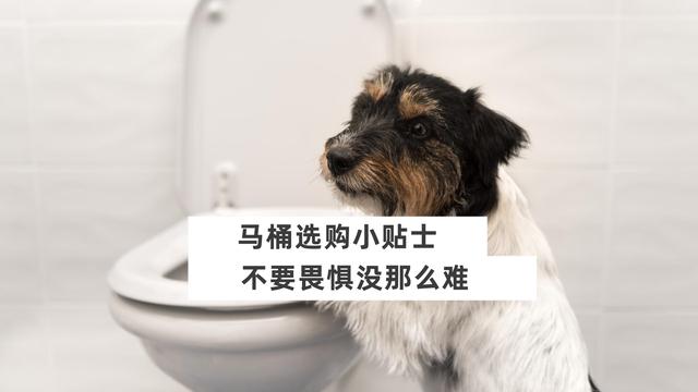申鹭达马桶售后电话（申鹭达马桶价格）