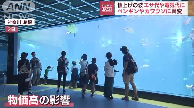 日生高级水族箱，日升水族箱厂家官网？