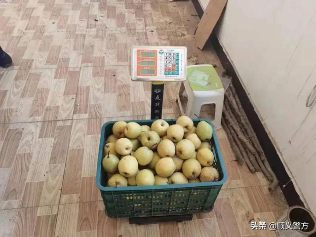 上海水果批发市场进货渠道（蔬菜水果批发市场进货渠道）