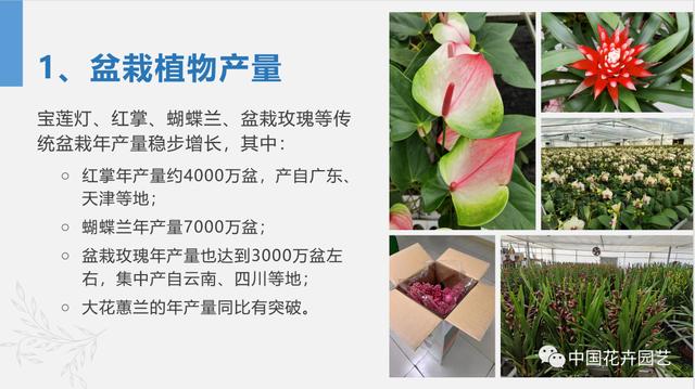 广州花卉批发市场进货渠道有哪些（广州花卉批发市场进货渠道在哪）