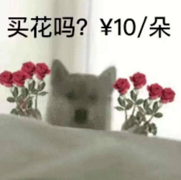 卖花一般去哪里进货（南京仙林东花卉市场）