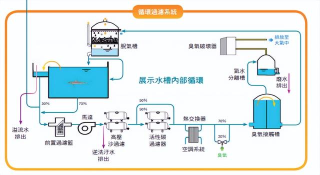 汕头观赏鱼批发市场在哪里（汕头批发观赏鱼市场）