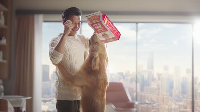 宠物猫好卖吗_（除了宠物店还有什么渠道卖猫）