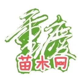水生植物批发种植基地在哪里，水生植物批发种植基地地址？