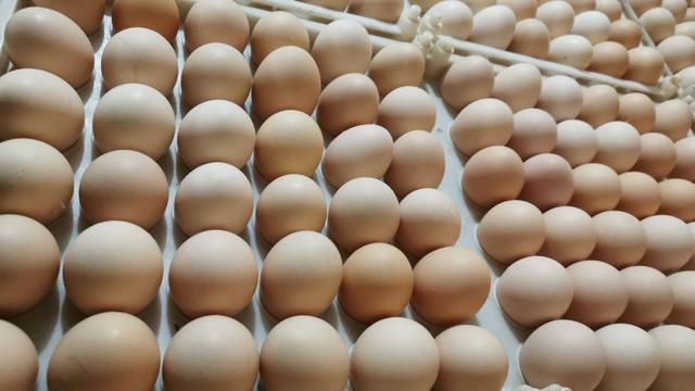 鸡蛋批发一手货源价格，上海鸡蛋批发一手货源价格？