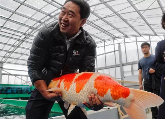 观赏鱼批发从哪里进货最便宜_汕头市，汕头观赏鱼批发市场在哪里？