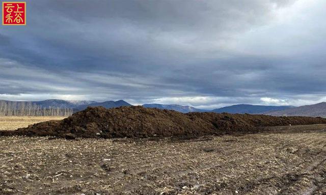 开封粮油批发粮油在哪里进货呀电话，开封粮油批发粮油在哪里进货呀多少钱？
