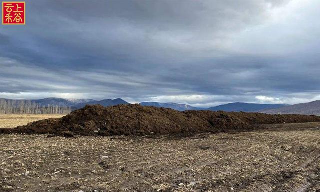 开封粮油批发粮油在哪里进货呀电话，开封粮油批发粮油在哪里进货呀多少钱？